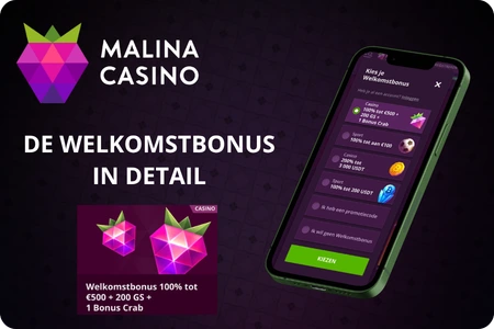 Malina Casino welkomstbonus in detail