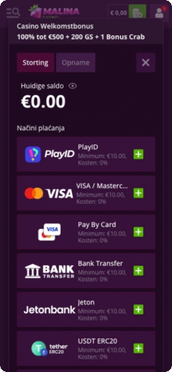 Storting via Visa, Mastercard, e-wallet, bankoverschrijving of crypto