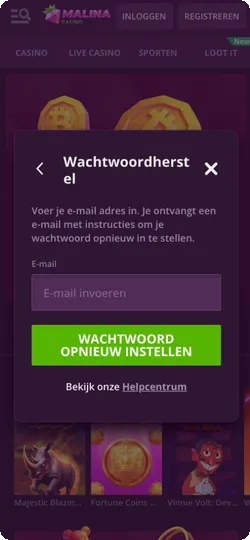 Malina Casino wachtwoordherstel via e-mailadres