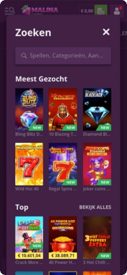 Slotsectie met spelaanbod